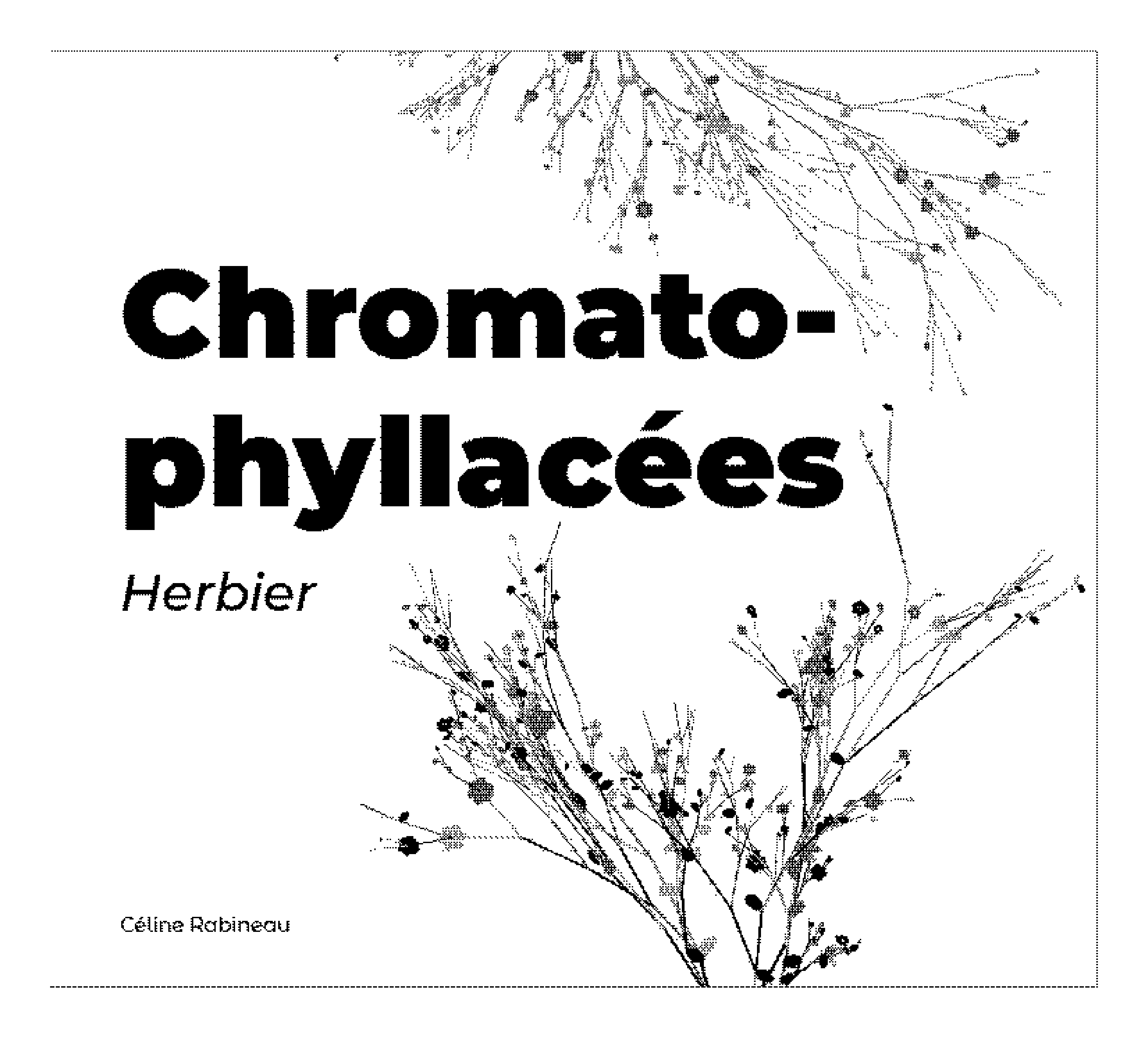 Chromatophylacée