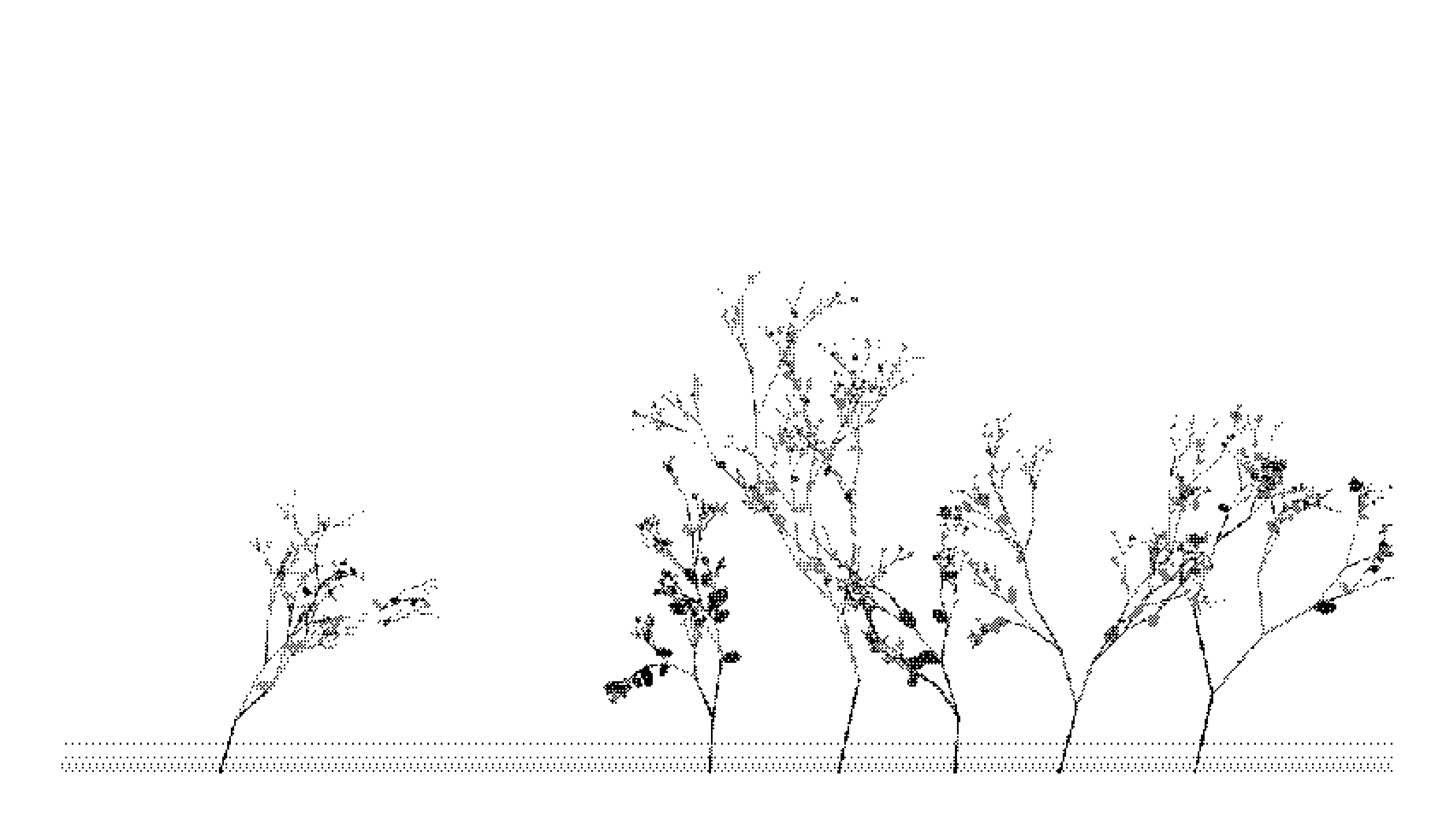 Forêt de Chromatophylacées