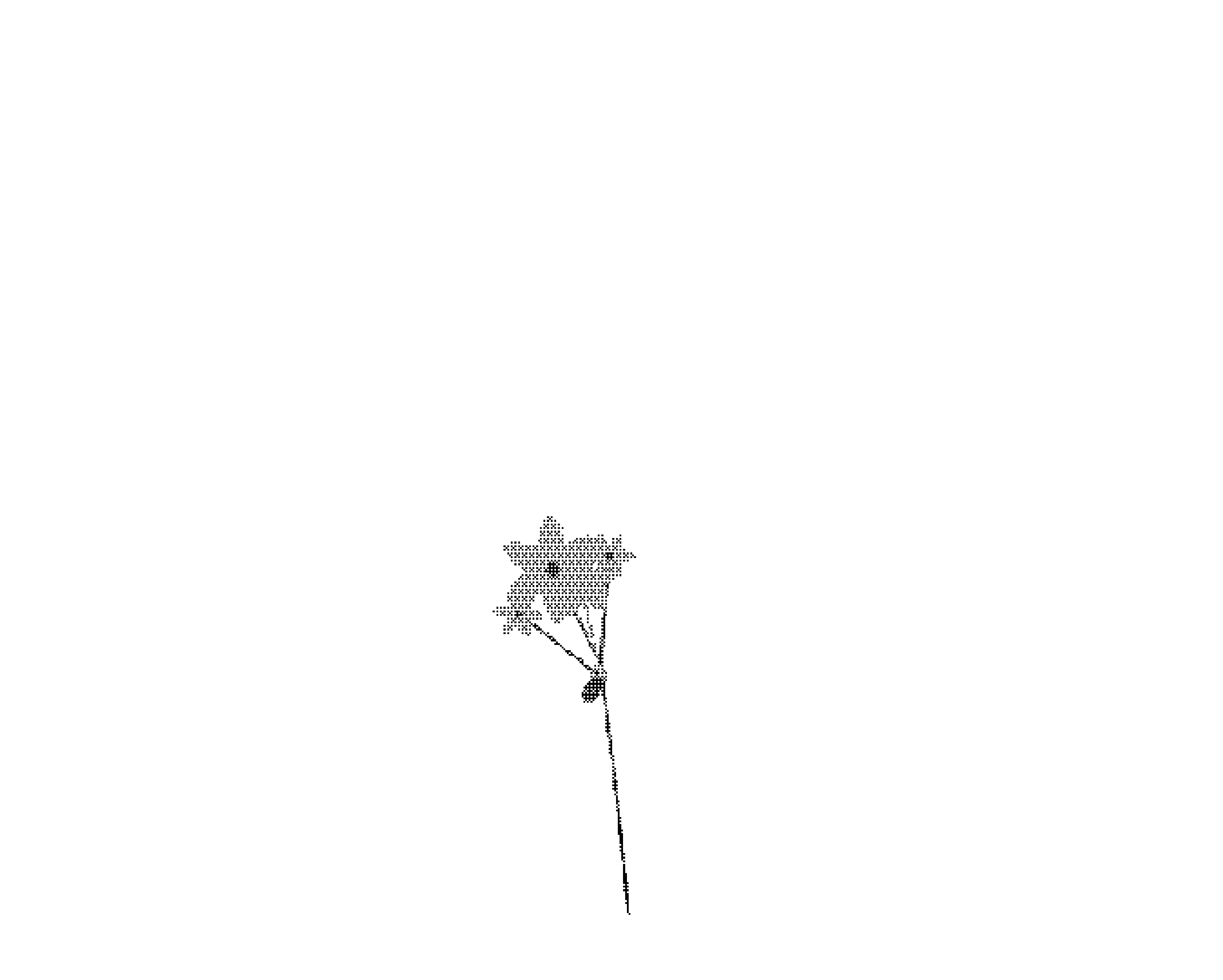 Plante à fleurs