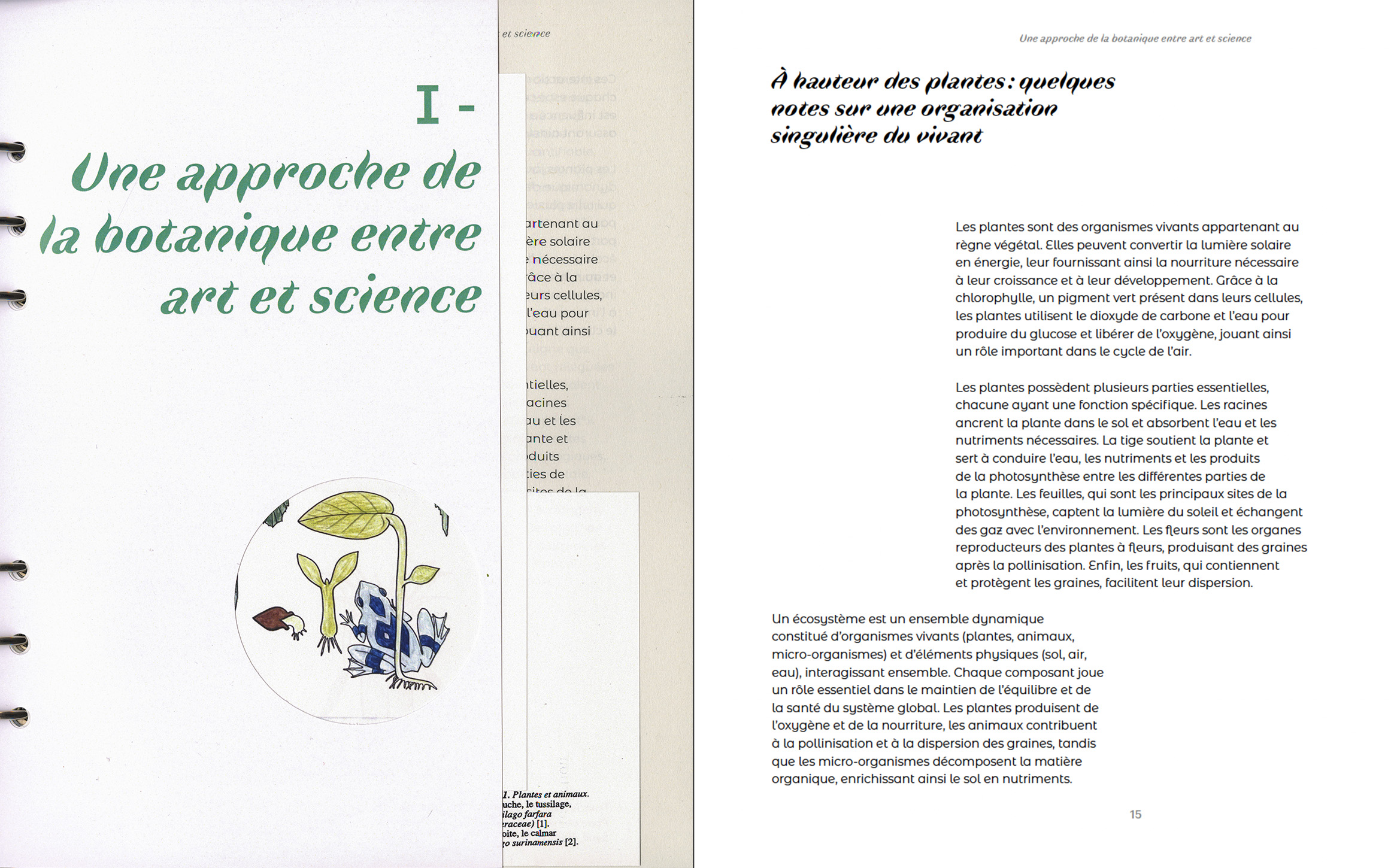 Autre visuel