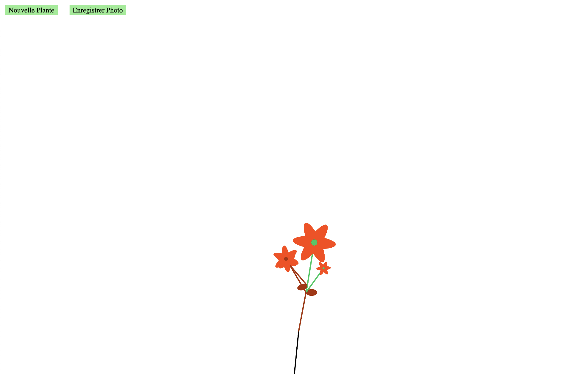 Plante à fleurs