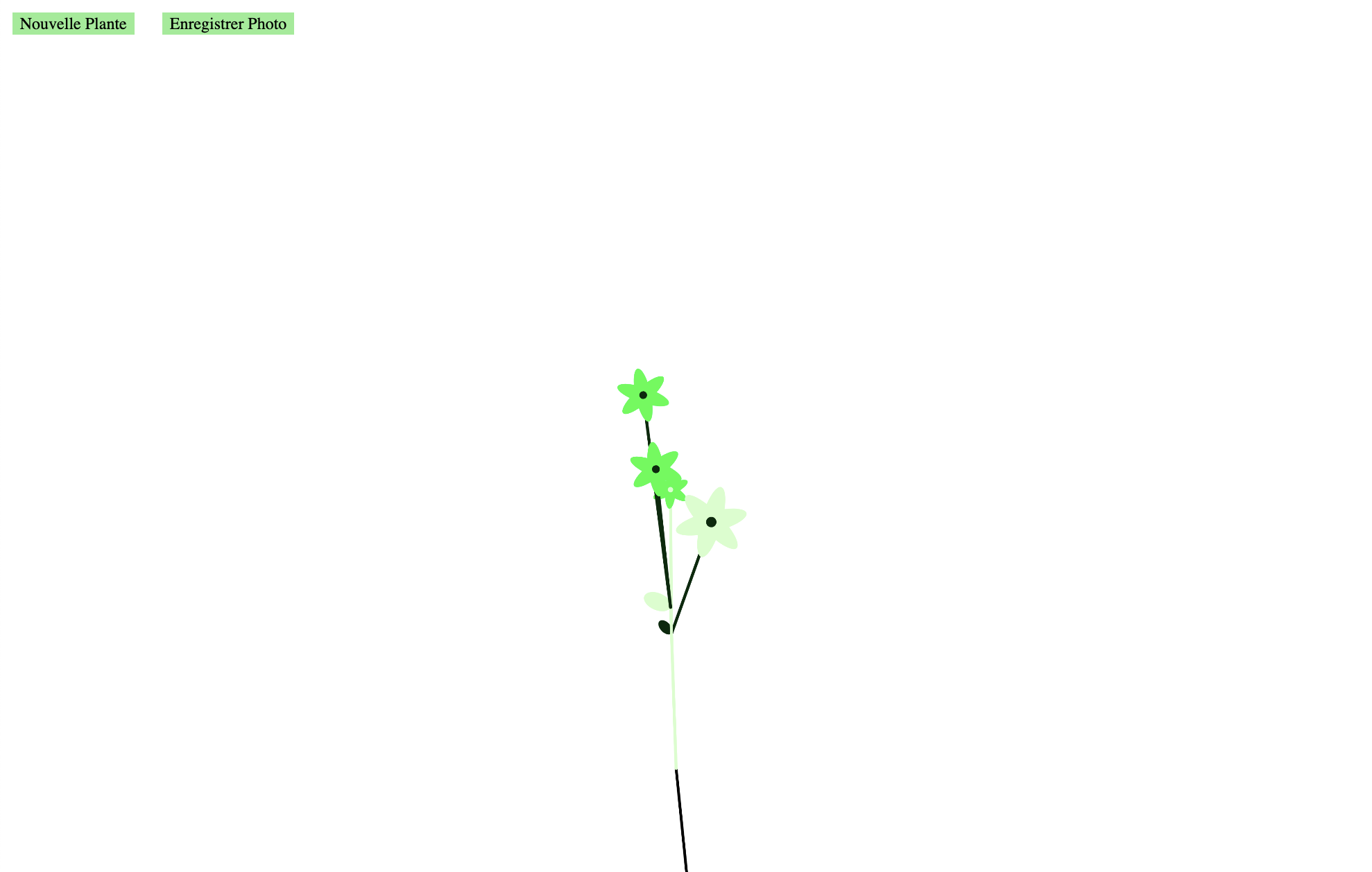 Plante à fleurs
