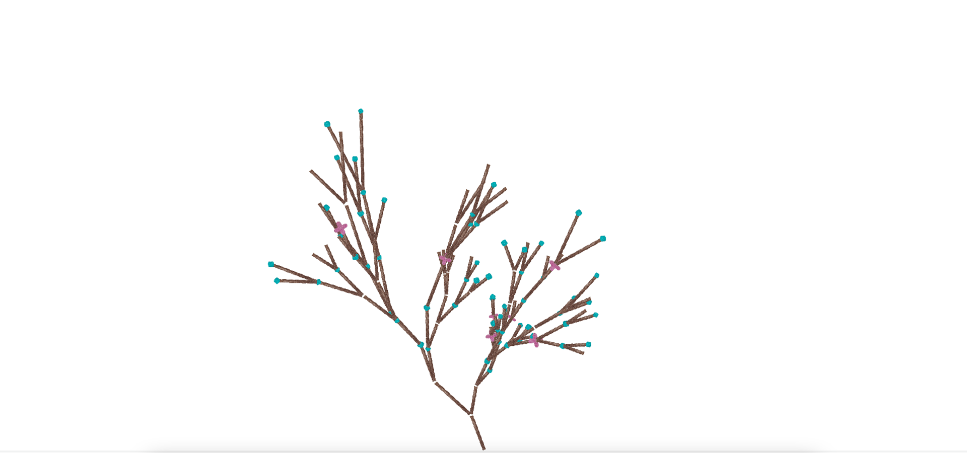 Plante à dessin